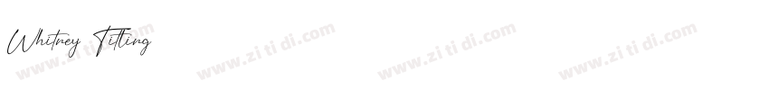 Whitney Titling字体转换